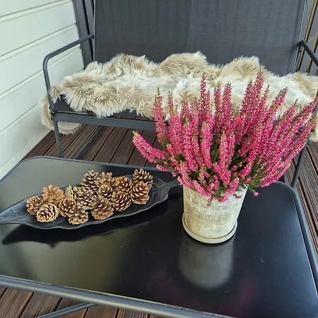 Arctic Circle Cozy Nest شقة